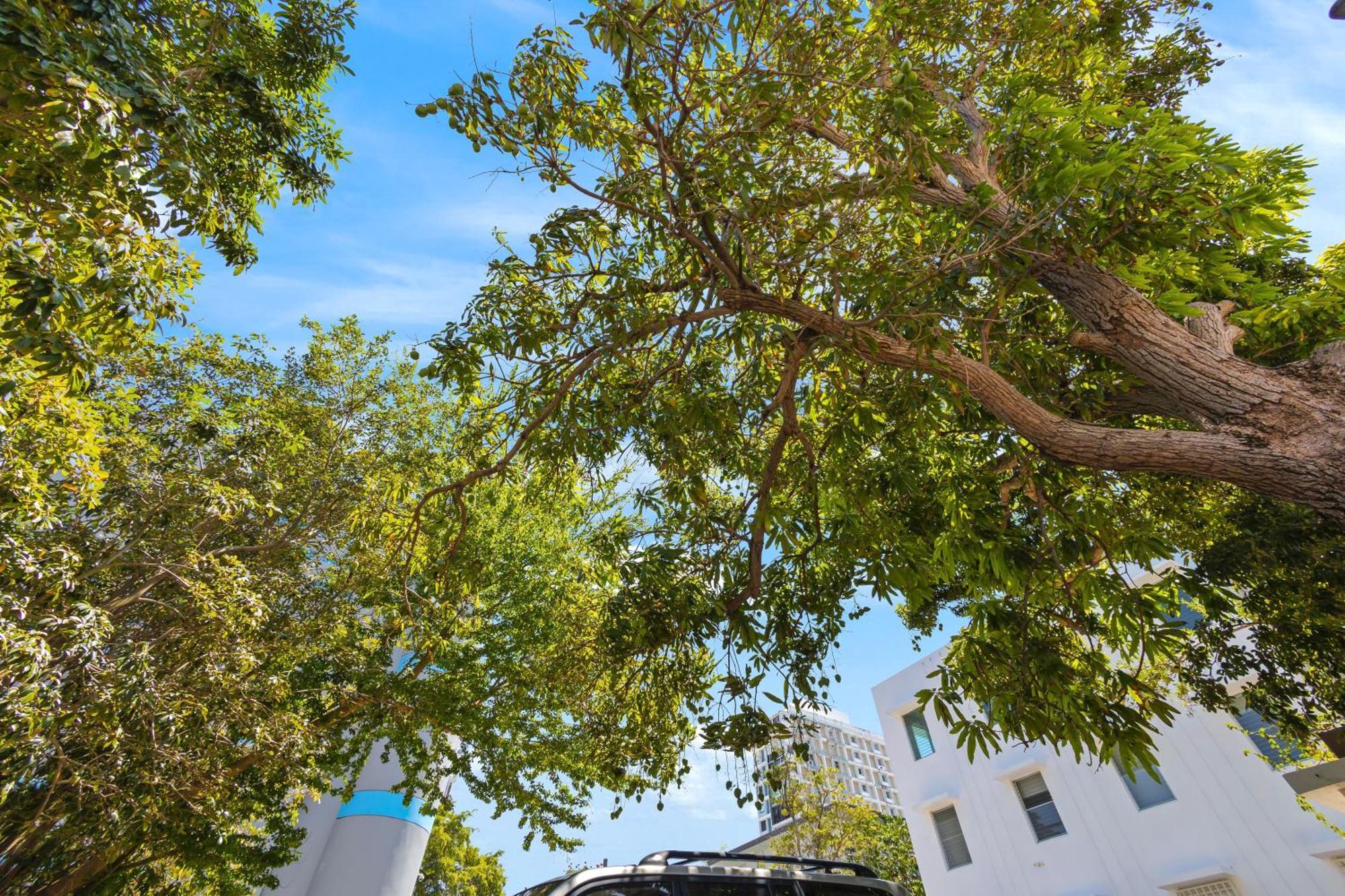산후안 Hidden Gem In Miramar- Power Generator- Parking 아파트 외부 사진