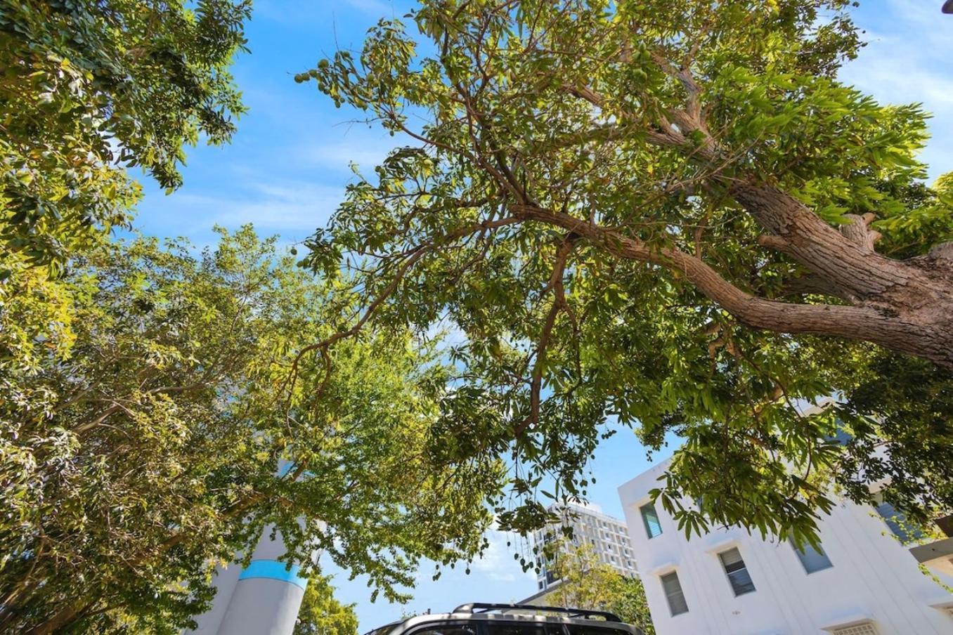 산후안 Hidden Gem In Miramar- Power Generator- Parking 아파트 외부 사진